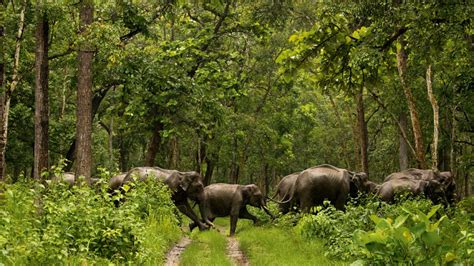10 Kerala National Parks You Have To Visit Condé Nast Traveller India