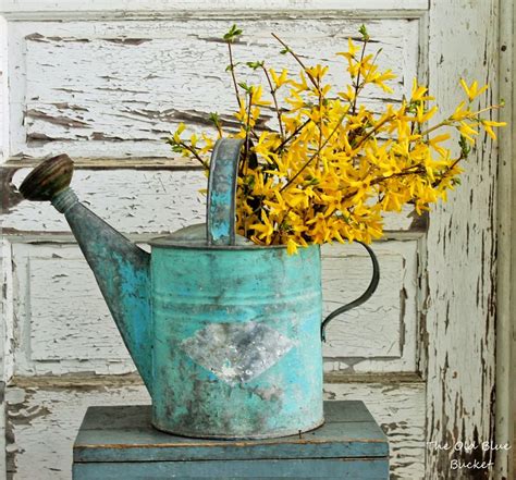 How To Revive Old Watering Cans And Make Them Cute Again