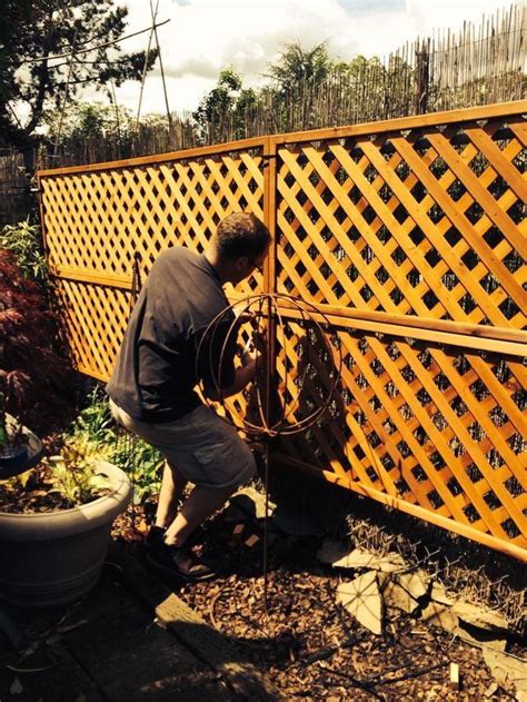 Want To Hide A Chain Link Fence Add Lattice Using Zip Ties So Easy