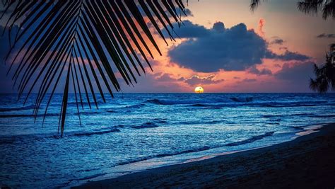 Noche De Playa Del Mar Caribe Fondo De Pantalla Hd Peakpx