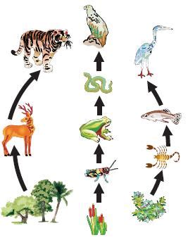 We did not find results for: Our Environment | Environment Science | CBSE | Class 10 ...