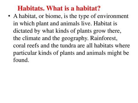 Habitats What Is A Habitat презентация онлайн