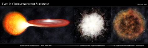 Type Ii Supernova Life Cycle