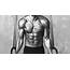 Your Perfect Body Game Plan Abs  Muscle & Fitness