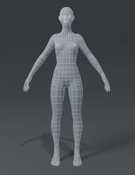 D Model Anatomical Body Base Mesh Vr Ar Low Poly Cgtrader My Xxx Hot Girl