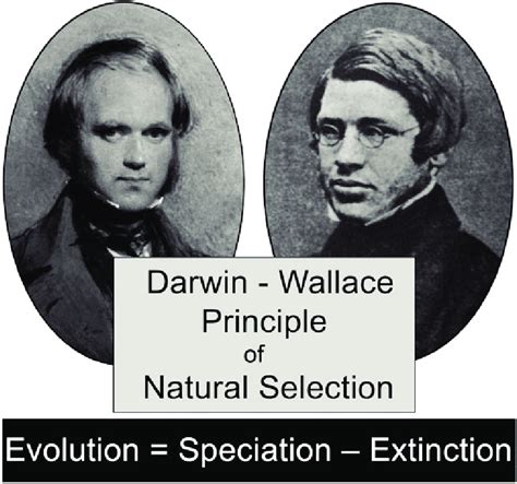 Portraits Of The British Naturalists Charles Darwin 1809 1882 And