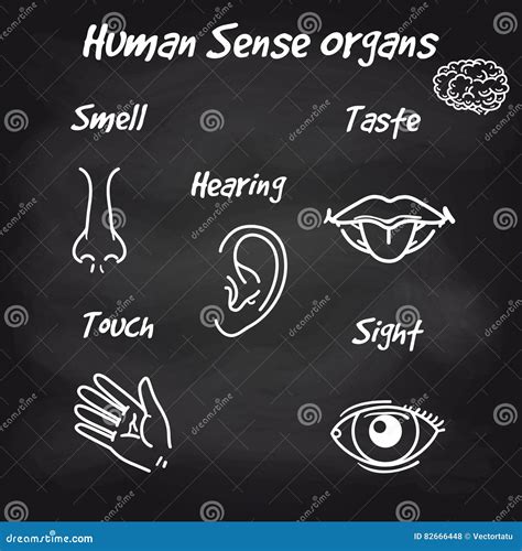 Sense Organs Hand Drawn Mouth And Tongue Eye Nose Ear And Hand Palm