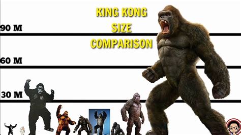 Godzilla and kong size comparison in godzilla vs. KING KONG SIZE COMPARISON From 1933 To 2020 - YouTube