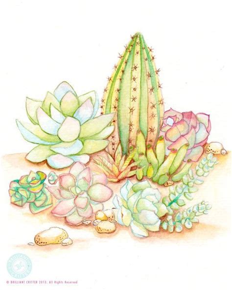Succulent Art 8x10 Watercolor Print Cactus By Brilliantcritter 2200