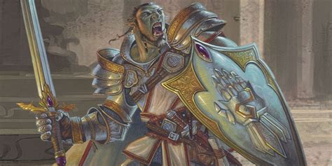 Dungeons And Dragons Basic Guide To Paladin