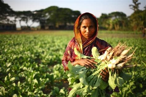 Small farms are key to the future of food - how to help ...