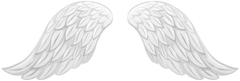 Wings Png Transparent Image Download Size 600x204px