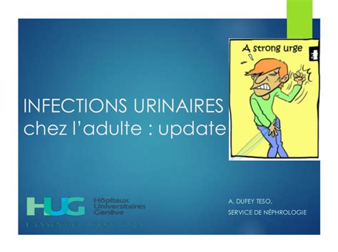 Infections Urinaires Chez Ladulte Update Nephro Blog