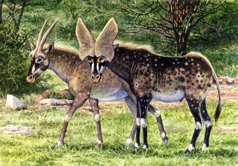 Art Illustration Prehistoric Mammals Prolibytherium Before Libya