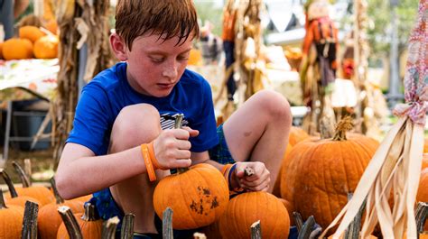 things to do in naples pumpkin patch plays grateful dead tribute