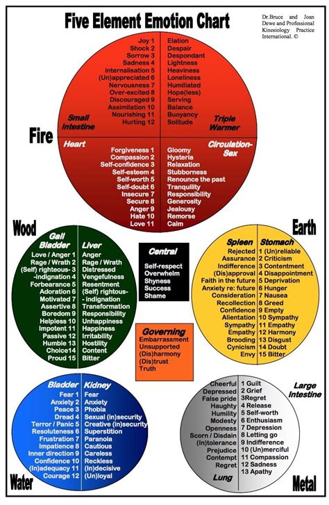 Five Elements Holistic Healing Energy Healing Tcm Traditional Chinese