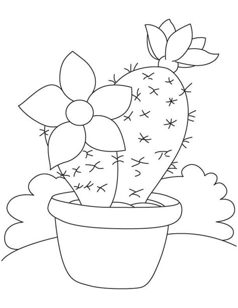 Cactus En Maceta B Sico Para Colorear Imprimir E Dibujar Coloringonly Com