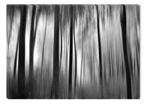 Startonight Canvas Wall Art Black And White Abstract Foreste Trees And