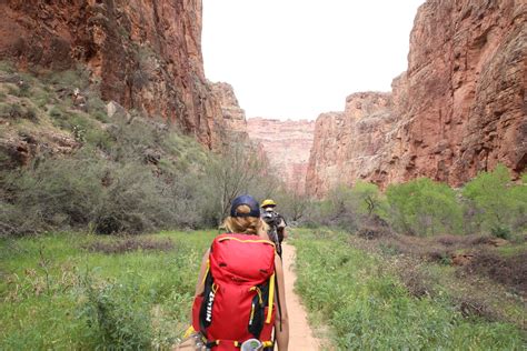 The Ultimate Guide To The Havasu Falls Hike In 2019