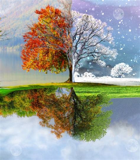 Change Of Seasons By Holicia Inspirational Digital Art Four Seasons