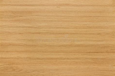 Texture Of Natural Oak Wood Stock Photo Image Of Panel Wooden 24434438