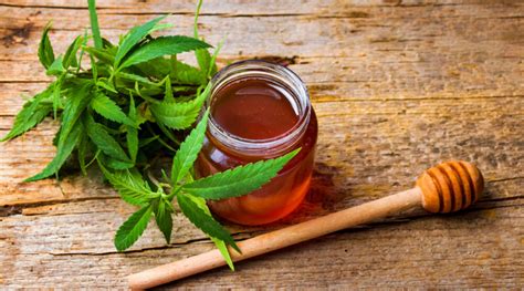 Cannabis Infused Honey Recipe Canada Cannabis Dispensary