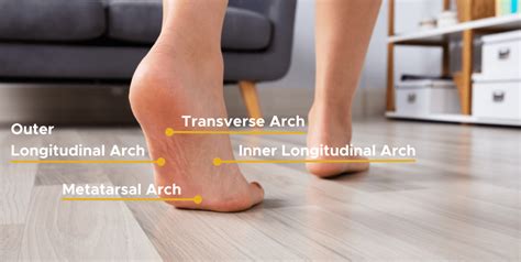 What Pain In The Arch Of Your Foot Means The Good Feet Store