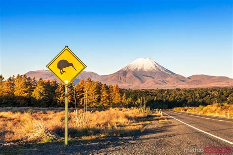 Kiwi Sign On The Road To Mount Ngauruhoe Tongariro New Zealand