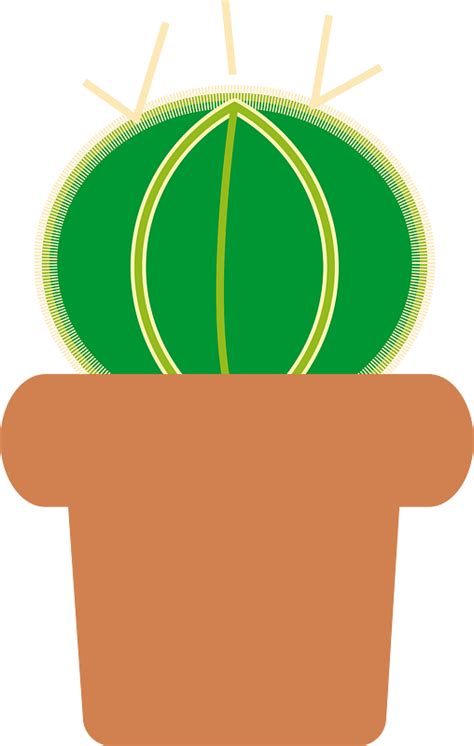 Cactus Plant Clipart Free Download Transparent Png Creazilla