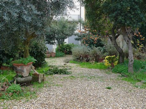 gravel garden Florence, Italy | Landscaping on a hill, Gravel landscaping, Gravel garden