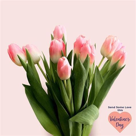 In order to have the best experience possible, here are some fast floral delivery tips to ensure you have a great experience. Pink tulips - symbol of caring, attachment and good wishes ...