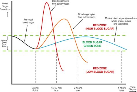 Blood Sugar Spikes And Crashes Blood Sugar Roller Coaster