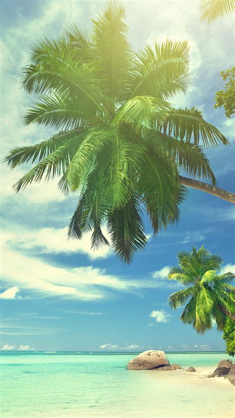Summer Tropical Paradise Wallpaper For Iphone X 8 7 6 Free
