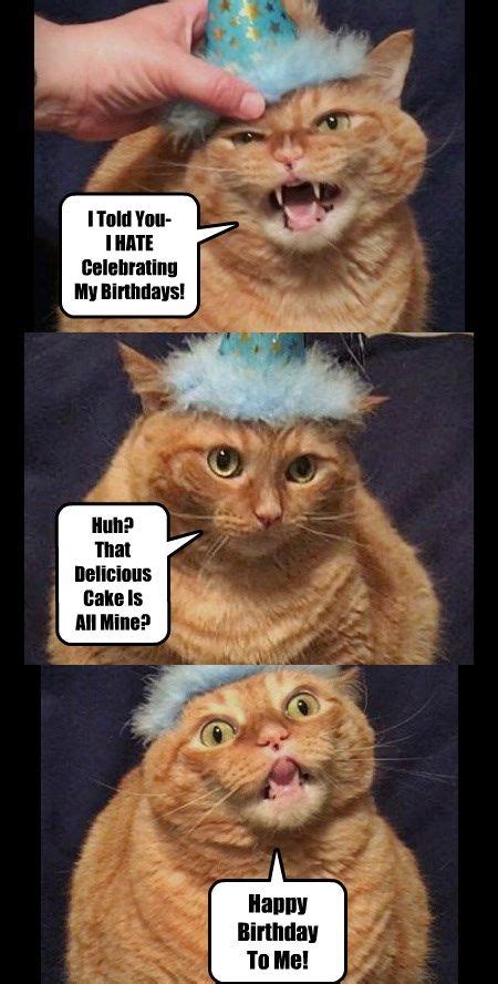 Here are some happy birthday meme we've put together for you which is one of the best ways to wish your lovely ones well on their special day. Dozens of Hilarious Birthday Memes With Animals ⋆ Funny ...
