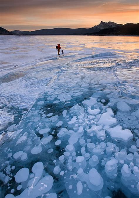 The Frozen Bubbles Of Alberta Canadas Abraham Lake The Dangerous