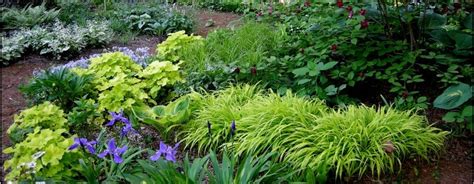 Shade gardening presents certain challenges, in part because only certain plants are able to grow in shady conditions. Shade Garden Plan Zone 5 | Home and Garden Designs