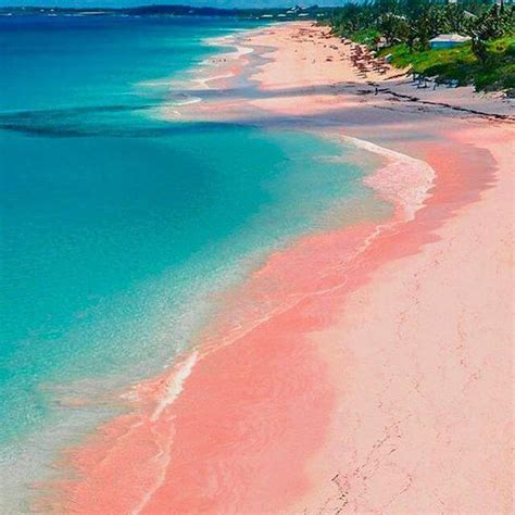 Bahamas Pink Beach The Caribbeans Most Colourful Beaches — Beachbox