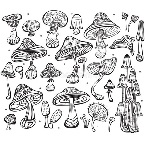 Set Of Sketch Of Mushrooms Stock Vector Illustration Of Biology 84635031