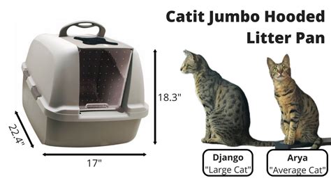 Catit Jumbo Hooded Cat Litter Pan Review Kitty Loaf