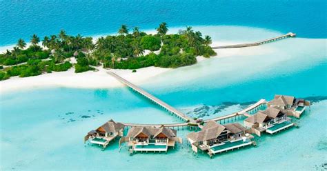 Niyama Private Islands Maldives In Dhaalu Atoll Maldives