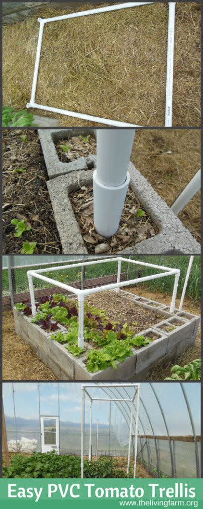 Easy Pvc Tomato Trellis Part One