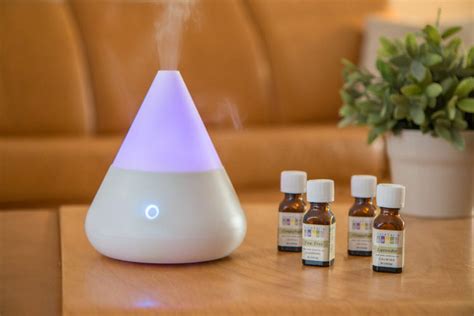 Do other essential oils get rid of fleas on cats? 10 Reasons to Use An Essential Oil Diffusers In Your Home