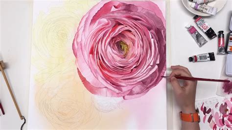Eleanor Mill Watercolor Ranunculus On Vimeo