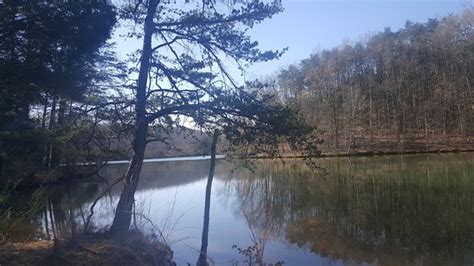 The lake was created in 1963 by the smith mountain dam impounding the roanoke river. Smith Mountain Lake State Park (Huddleston) - 2021 All You ...