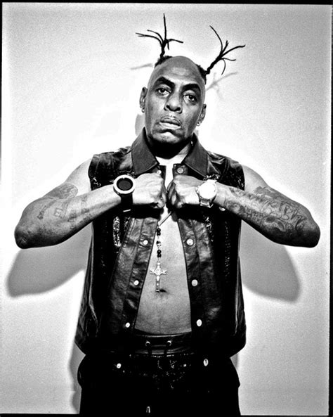 Gangsters Paradise Coolio Is The Theme Song Of What Song Serrenorthern