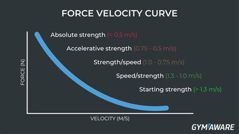 Force Velocity Profile The How The Why And What To Do With It Gymaware