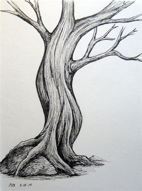 Tree Drawing Simple Art Drawings Simple Realistic Drawings Simple