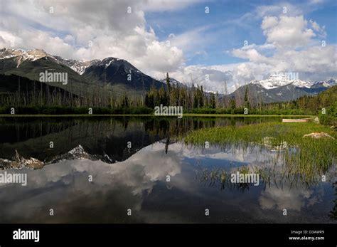 Vermillion Lakes Banff National Park Alberta Canada Reflection