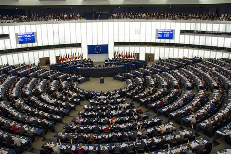 Democracy Volunteers European Parliament