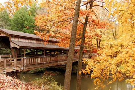 Covered Bridge With Autumn Leaves Free Stock Photo Public Domain Pictures